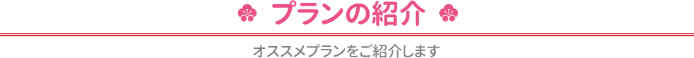 プランのご紹介